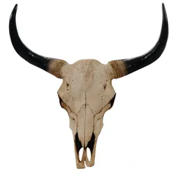 Décoshop26 - Wanddekoration: Stierkopf 45 cm große Longhorn-Trophäe aus Polyresin naturfarben für den Innen- und Außenbereich 04_0002848