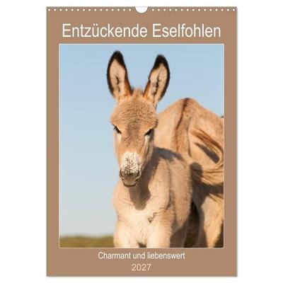 Entzückende Esel - Charmant und liebenswert (Wandkalender 2027 DIN A3 hoch), CALVENDO Monatskalender