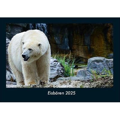 Eisbären 2025 Fotokalender DIN A4