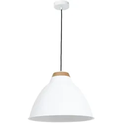 Licht-Erlebnisse, Pendelleuchte, Skal (E27)