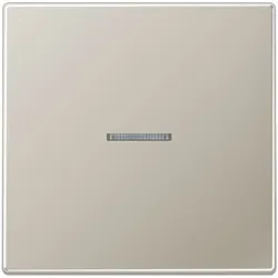 Jung KNX RF Taster 1fach ES 10911 ST RF