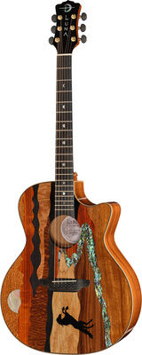 Luna Guitars Vista Stallion