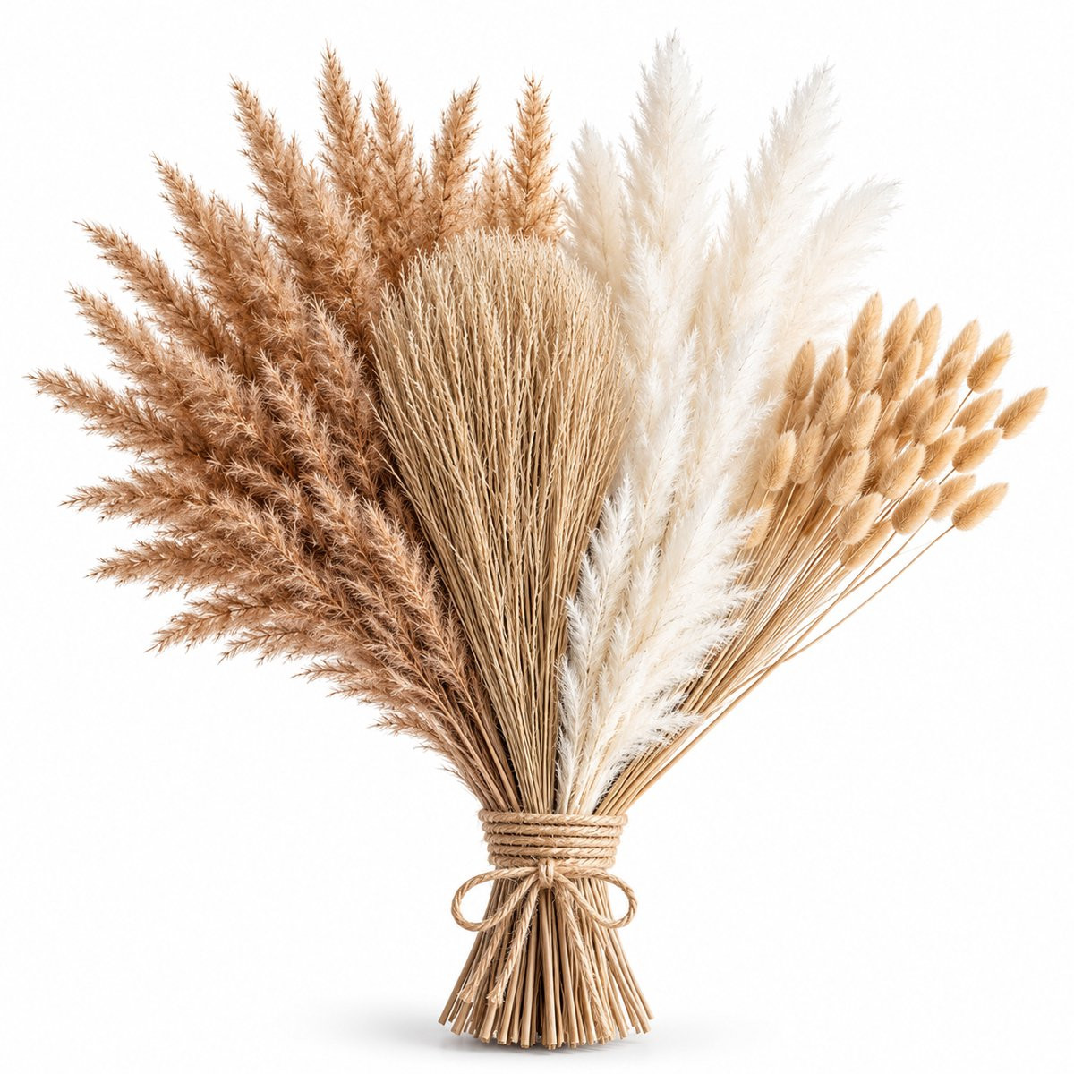 BOTC Pampasgras Droogboeket - 100 stuks - Wit & Naturel - 35-43 cm