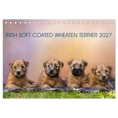 IRISH SOFT COATED WHEATEN TERRIER 2027 (Tischkalender 2027 DIN A5 quer), CALVENDO Monatskalender