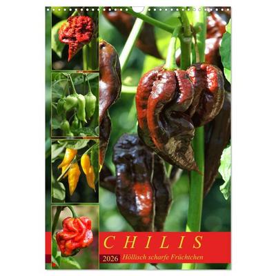 Chilis - Höllisch scharfe Früchtchen (Wandkalender 2026 DIN A3 hoch), CALVENDO Monatskalender