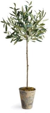 Porch & Petal "Olive Tree Potted 30"""
