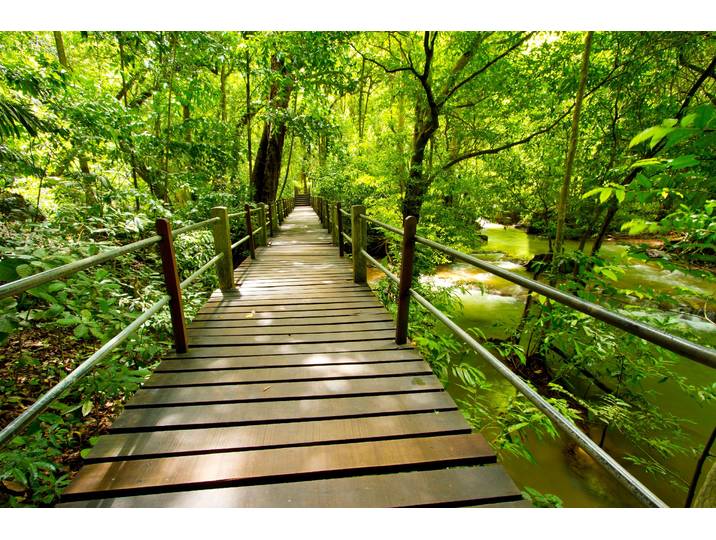 Fototapete PAPERMOON Bridge Walk , bunt, B:3m L:2,23m, Vlies, Tapeten, Fototapete
