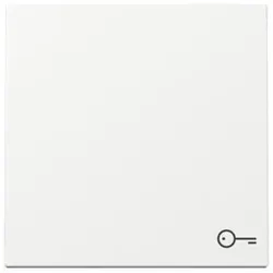 Gira Wippe Symb. Tür 328703