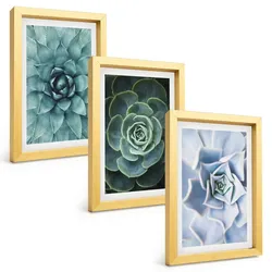 BILDER SET 3er Set - 20x30 cm Goldrahmen - Sukkulente Pflanzen grün türkis