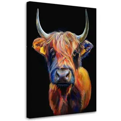 WANDBILD schottische kuhtiere