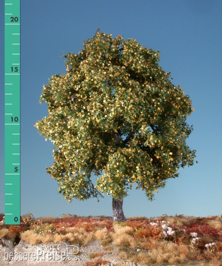 Silhouette 230-23