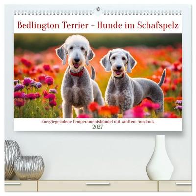 Bedlington Terrier - Hunde im Schafspelz (hochwertiger Premium Wandkalender 2027 DIN A2 quer), Kunstdruck in Hochglanz