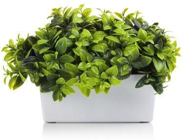 Enova Home Artificial Eucalyptus Fake Plants in White Pot and Planter for Home Office Decoration