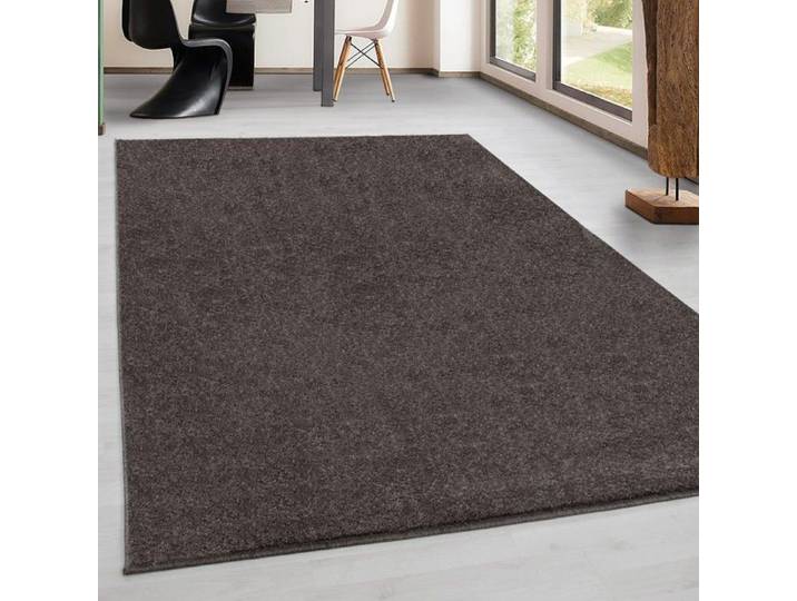 TapisTrend Tapis design Mocca 120 x 170 cm d'intérieur pour salon texture douce moderne look naturel style