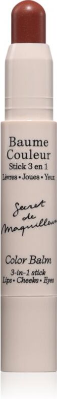 Embryolisse Artist Secret multi-purpose makeup for eyes, lips and face shade Mocha 2.5 g