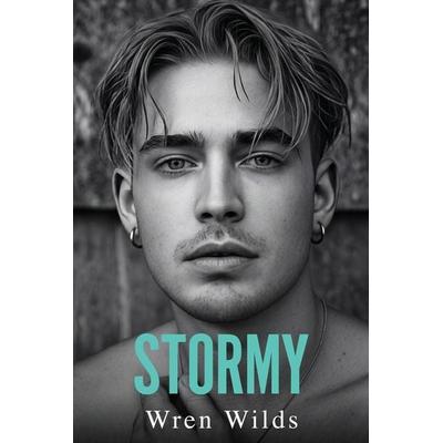 Stormy, Taschenbuch von Wren Wilds, Independently Published