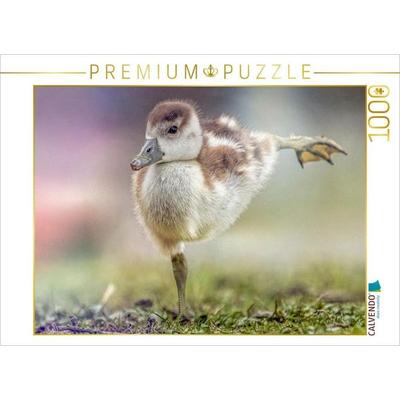 CALVENDO Puzzle Ein junges Küken balanciert auf einem Bein und streckt dabei das andere Bein nach hinten. So als wenn es Frühsport betriebe. | 1000