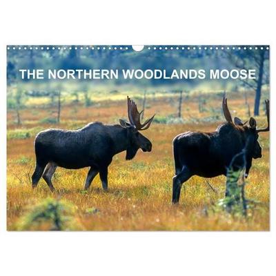 THE NORTHERN WOODLANDS MOOSE (Wall Calendar 2027 DIN A3 landscape), CALVENDO 12 Month Wall Calendar