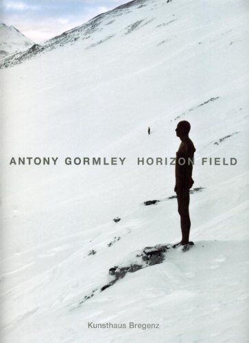 Antony Gormley - Antony Gormley. Horizon Field.: Eine Landschaftsinstallation im alpinen Hochgebirge Vorarlbergs. - Preis vom 30.09.2026 09:01:18 h