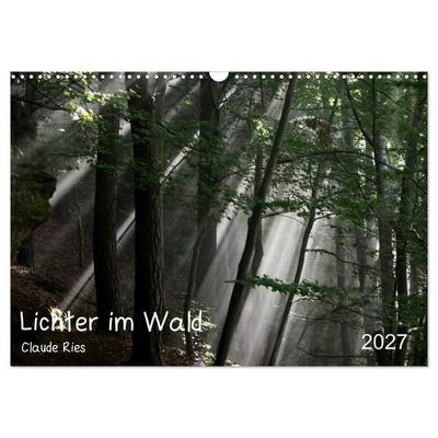 Lichter im Wald (Wandkalender 2027 DIN A3 quer), CALVENDO Monatskalender