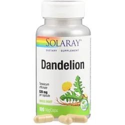 Löwenzahn Solaray 100 ST