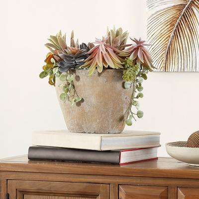 "SAFAVIEH Succulent 13-Inch Faux Plant, Green and Brown - 15.8"" W x 9.5"" L x 13"" H"