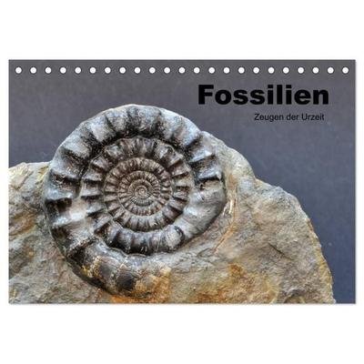 Fossilien - Zeugen der Urzeit (Tischkalender 2027 DIN A5 quer), CALVENDO Monatskalender