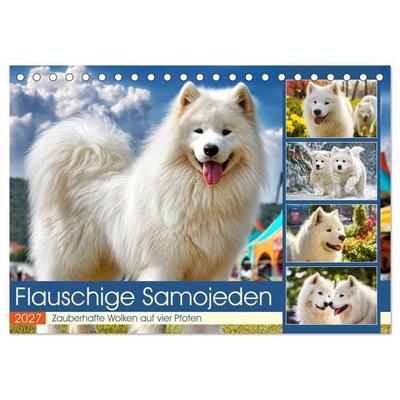 Flauschige Samojeden. Zauberhafte Wolken auf vier Pfoten (Tischkalender 2027 DIN A5 quer), CALVENDO Monatskalender