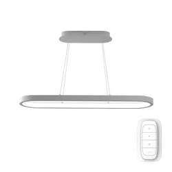Immax NEO 07077L LED Deckenleuchte Hipodromo 1x42W | 2700-6500K