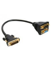 InLine DVI-Adapter DVI-I M bis DB-15 W 15-polig (17301)