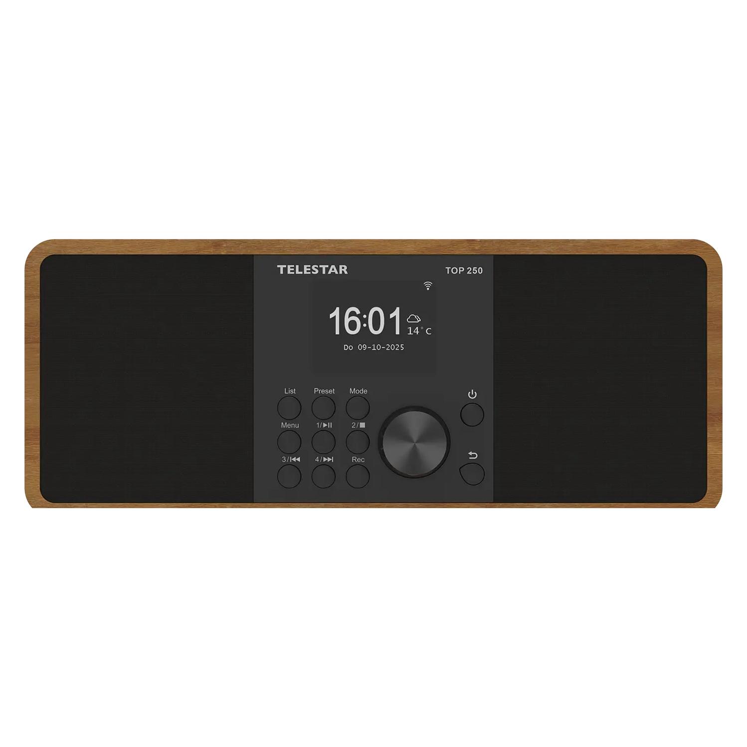 Telestar Top 300 (DAB+, FM, Bluetooth, WLAN) (5701300)