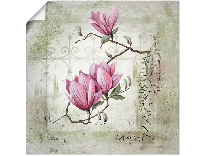 Wandbild ARTLAND Pinke Magnolie , pink (farbe bild(er): pink), B:40cm H:40cm, Bilder, Wandbild, als Leinwandbild, Poster in verschied. Grössen