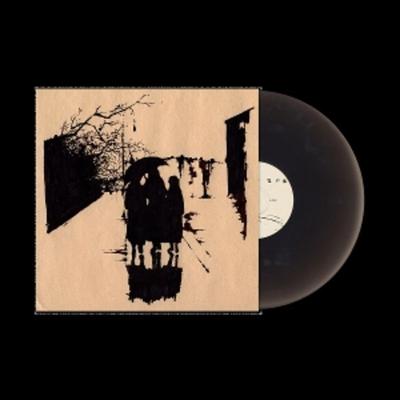 DIRECTIONS (Black Ice Vinyl) - Knumears, Vinyl