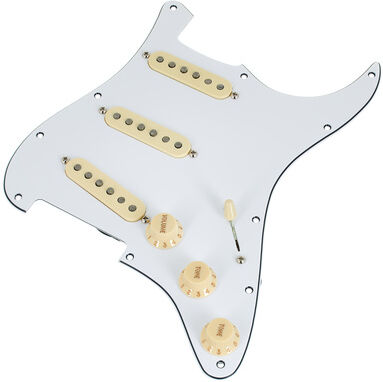 Fender PWPG 59 Strat RWRP WBW