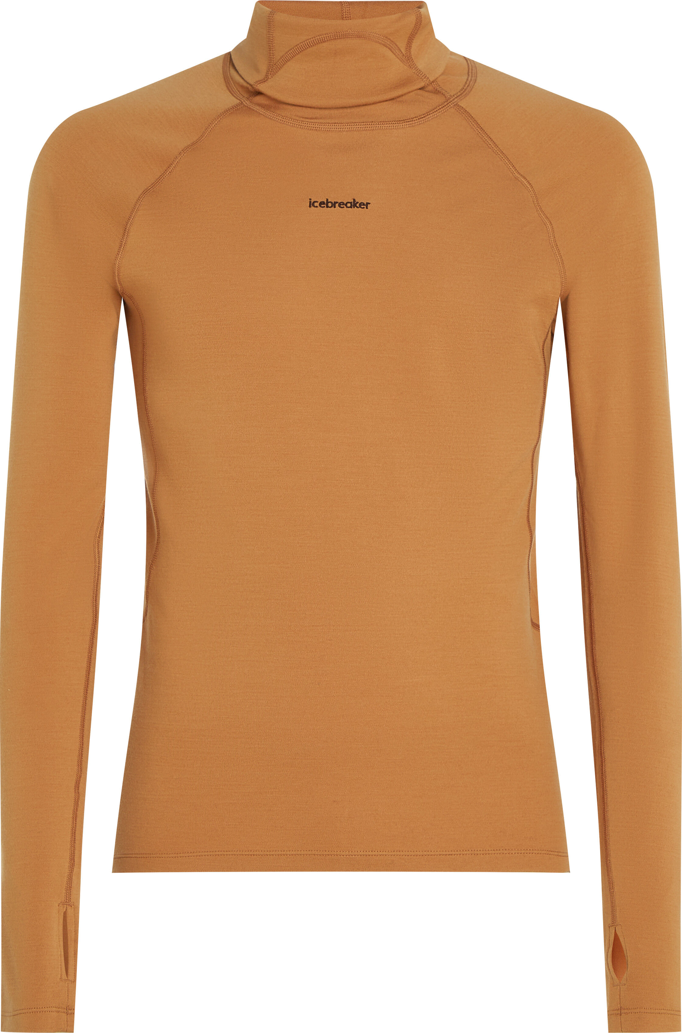 Icebreaker Men's Merino 300 Merinofine™  Polar Long Sleeve Roll Neck Trail S