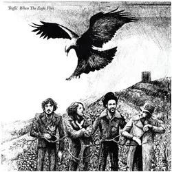Island, Schallplatten, When The Eagle Flies (Remastered LP) (Traffic)