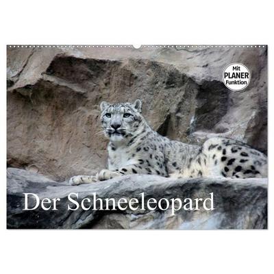 Der Schneeleopard (Wandkalender 2027 DIN A2 quer), CALVENDO Monatskalender