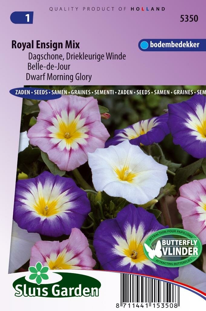 Sluis Garden Convolvulus Tricolor Royal Ensign dagschone zaden