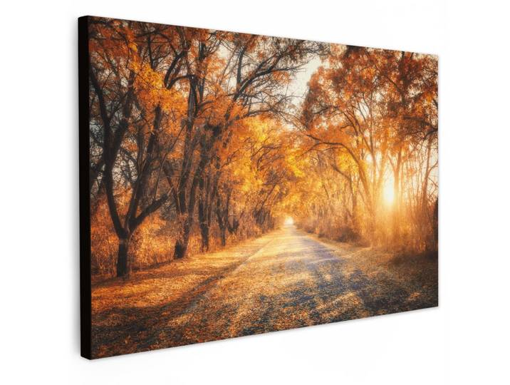LEINWANDBILD Wald - Herbst - Bäume - Waldweg - Natur Gemälde 60x40 cm