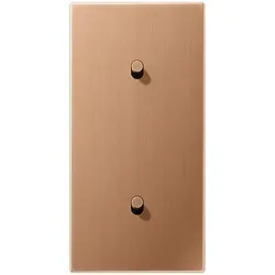 Jung Abdeckung BRG 12-20 R 42