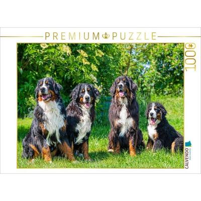 CALVENDO Puzzle Vier Schönheiten - Berner Sennenhunde | 1000 Teile Lege-Größe 64x48cm Foto-Puzzle für glückliche Stunden