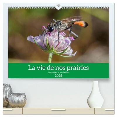 La vie de nos prairies - Les guêpes et les abeilles (Calendrier mural 2026 DIN A2 vertical) calendrier de bureau