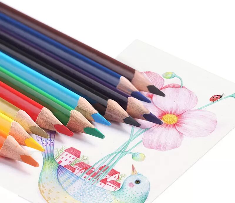 INF Ensemble de crayons de couleur à l'huile - 24 couleurs vives pour un art éclatant 24 couleurs