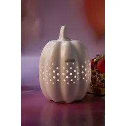 Kürbis Pastazo hoch 14,5cm LED