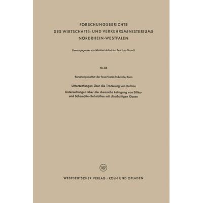 Untersuchungen über die Trocknung von Rohton, Taschenbuch von Kenneth A. Loparo, VS Verlag für Sozialwissenschaften, 978-3-663-03311-0