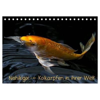 Nishikigoi – Koikarpfen in ihrer Welt (Tischkalender 2027 DIN A5 quer), CALVENDO Monatskalender