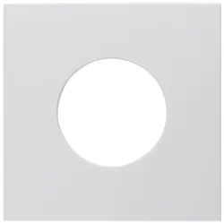 Berker 11248989 Zentralstück f Druckt E10 S.1 polarweiß