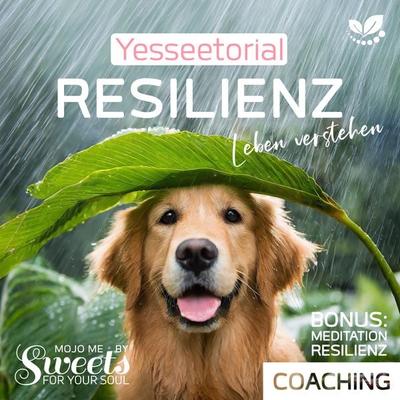 Resilienz, die 7 Säulen der mentalen Stärke, mit Selbsttest im Hörbuch zur Stärkung deiner inneren Widerstandskraft - Coco Styles,Indi Sanders, Audio,