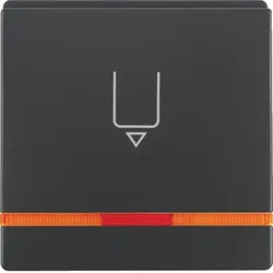 Berker Hotelcard-Schaltaufsatz MAN0207023