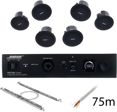 Bose Professional Veritas 1100BH/FS2C B Bundle Noir